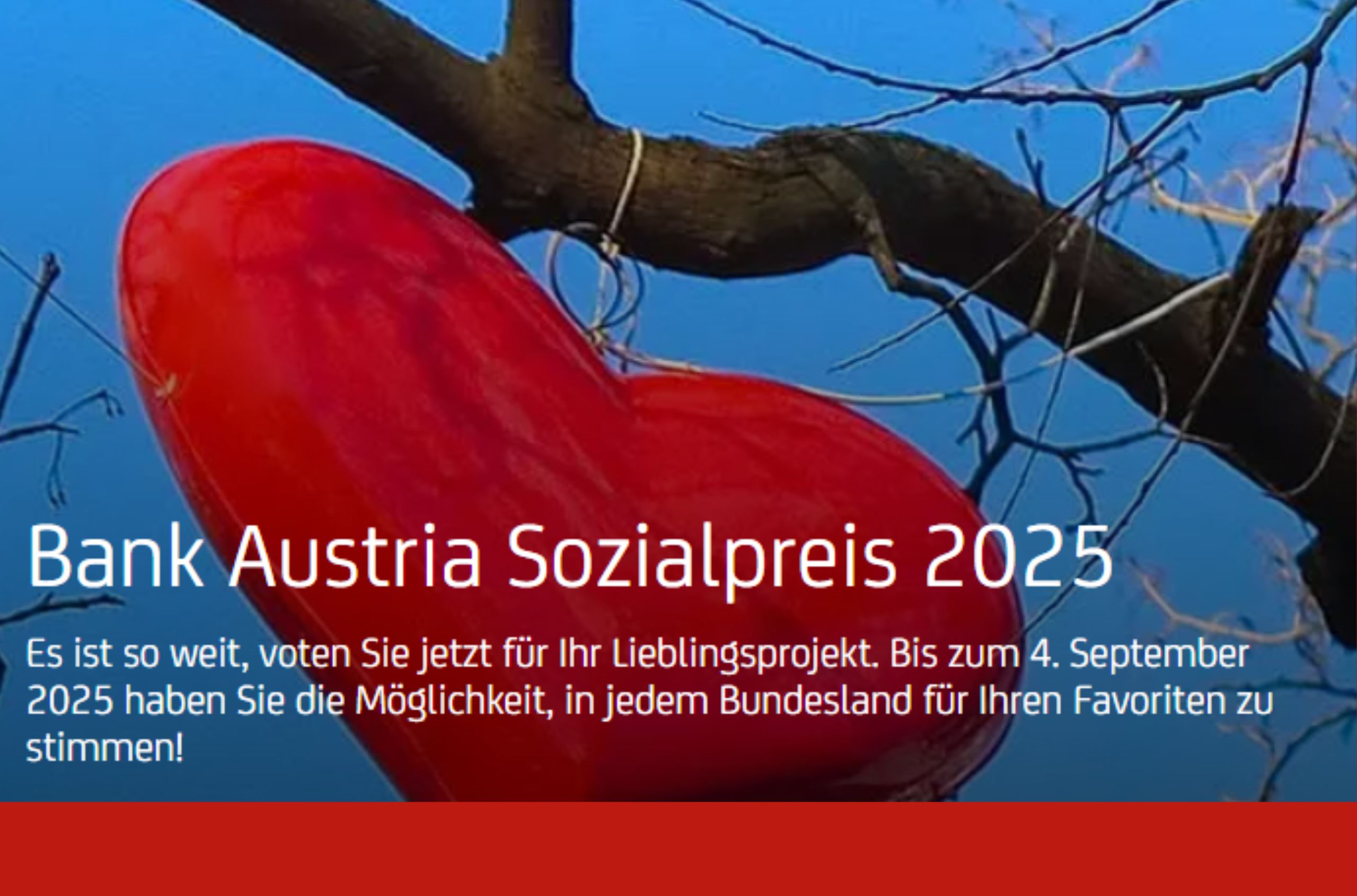 Website_Vorschaubild (1)
