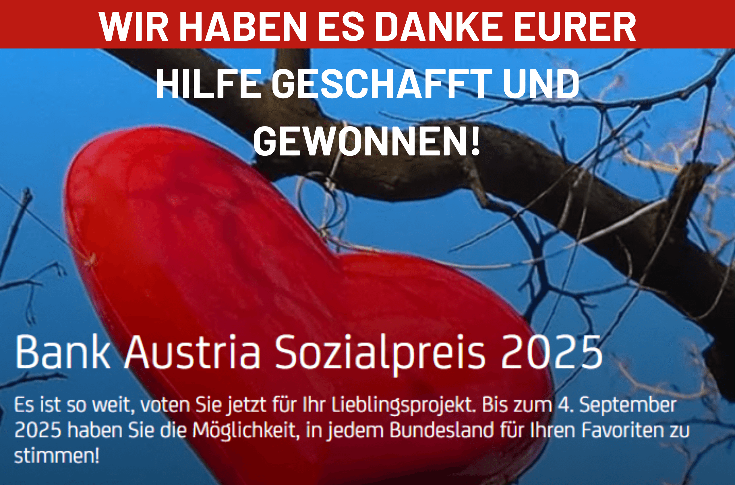 Website_Vorschaubild